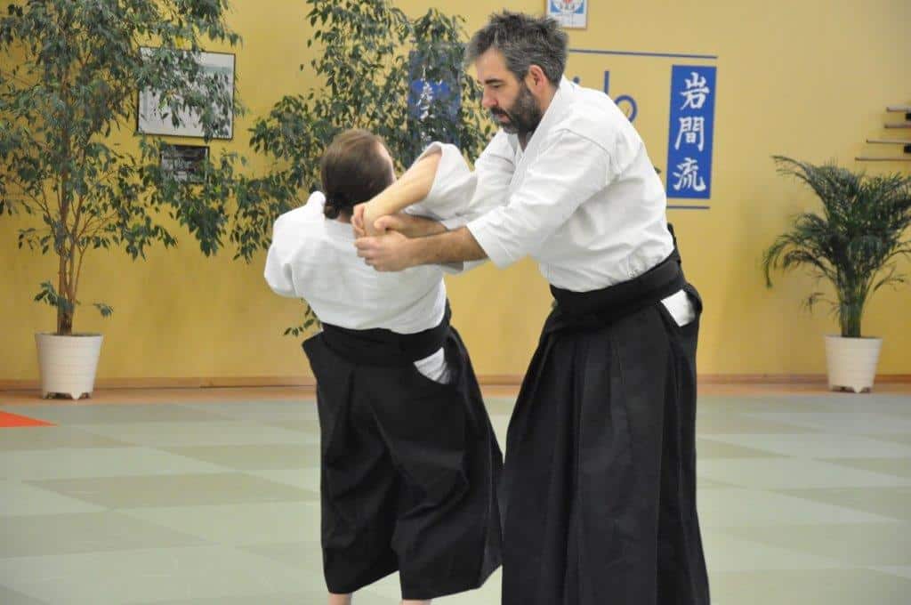 TBER_Aikido_action_3