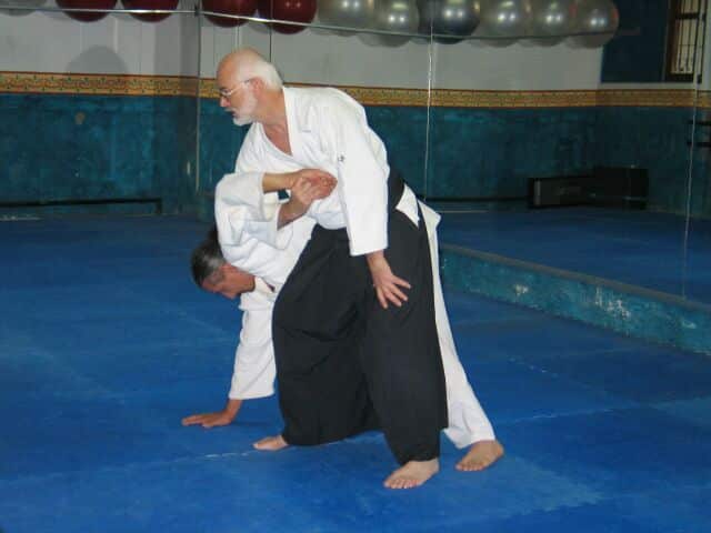 TBER_Aikido_action_4