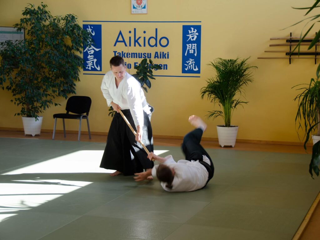 TBER_Aikido_action_7