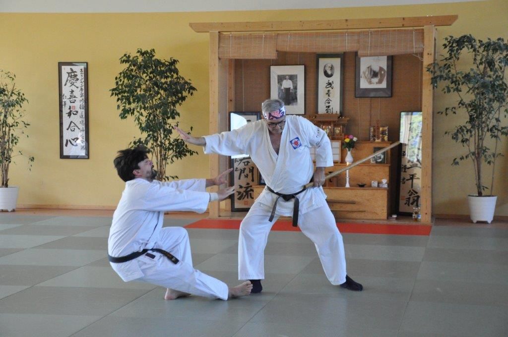 TBER_Aikido_action_8